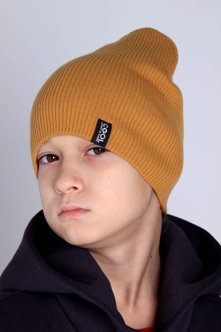 Шапка демисезонная